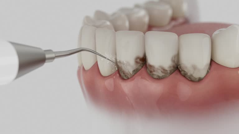 Reliable Dental contractor in Marlboro Meadows, MD by Dentist Open Now